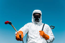 Pest Control for Restaurants and Food Service in Morenci, AZ